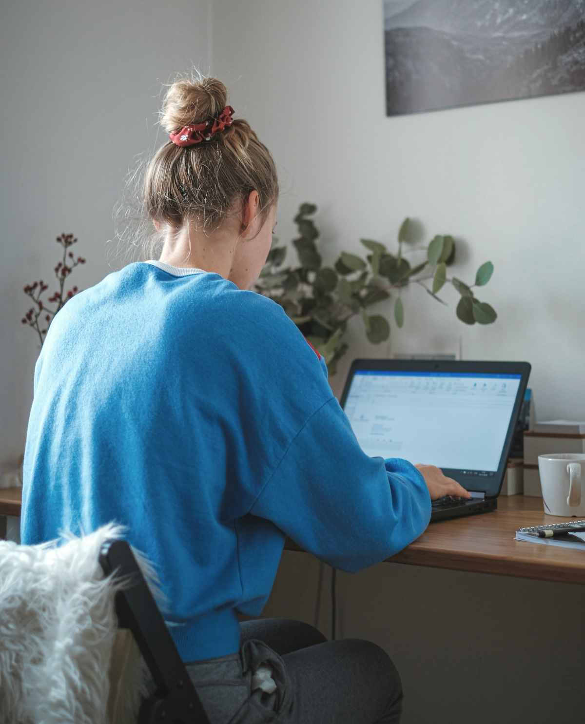 jan-baborak-O4nTgxWr5Sc-unsplash_Kopie_Umschulung auf Probe
